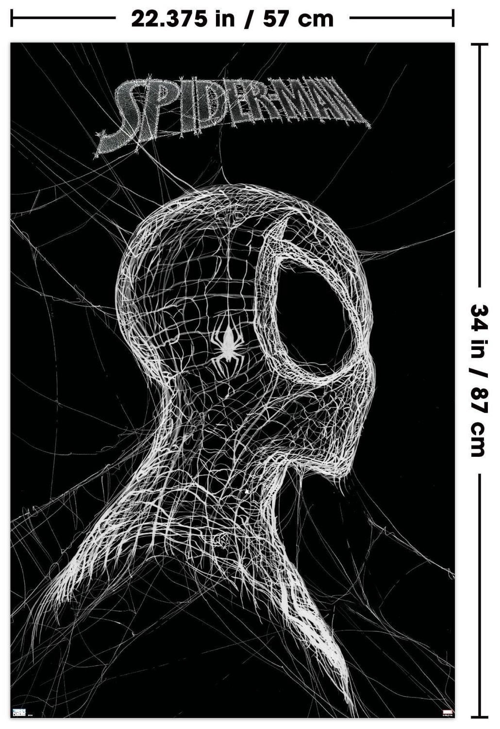 Marvel Spider-Man: World Of Webs - Black And White Wall Poster, 22.375" x 34"