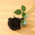 thumbnail image 6 of 12PCS Black Roses Artificial Flowers, 12pcs Black Flowers Gothic Bouquet, Black Decor Rose Stems for Halloween Wedding Party Home Table Arrangements, 6 of 6