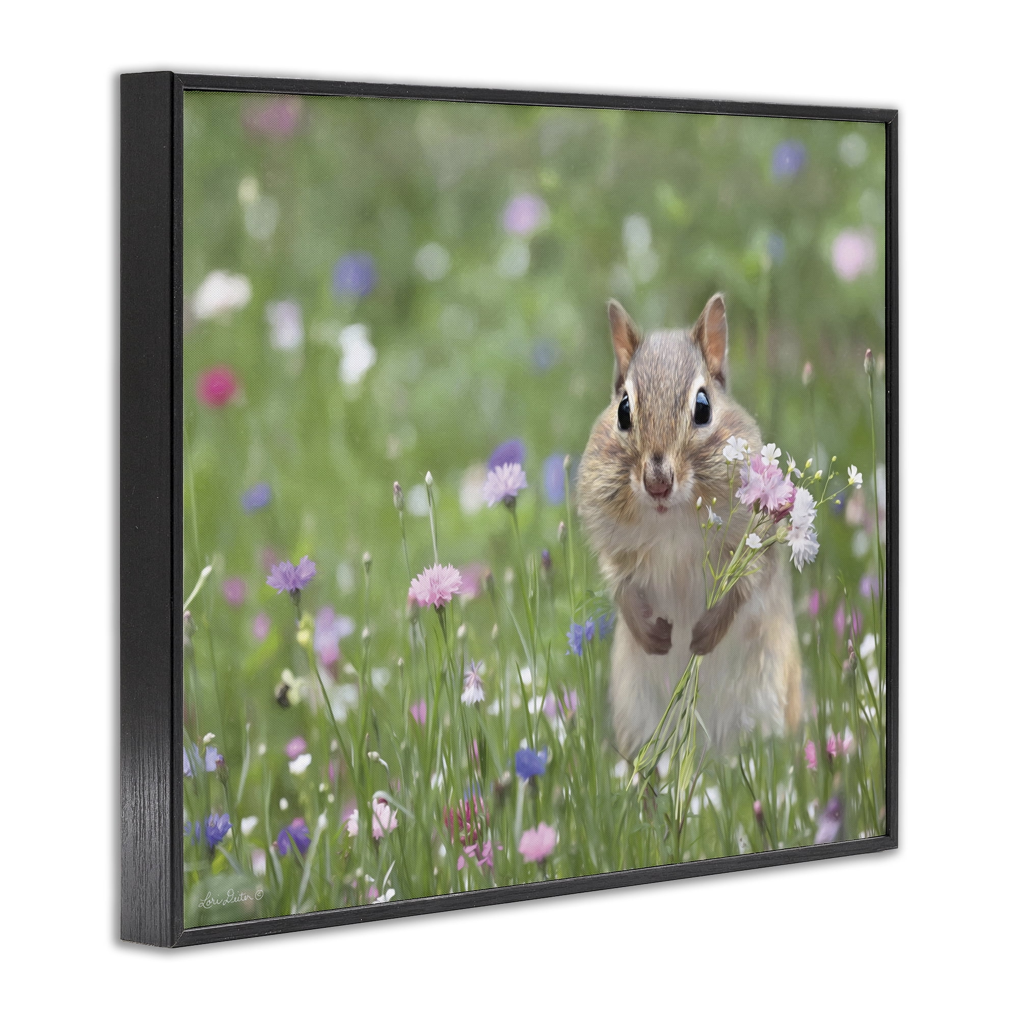 Stupell Industries Chipmunk Picking Flowers Animals & Insects Painting Black Framed Art Print Wall Art, 30 x 24