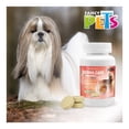thumbnail image 2 of Tableta masticable derma care para perro Fancy Pets Tabletas masticables con omegas para perro  de 60 pz, 2 of 4