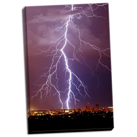Gango Home Decor Lightning Portrait by Douglas Taylor (Ready to Hang); One 24x36in Hand-Stretched Canvas