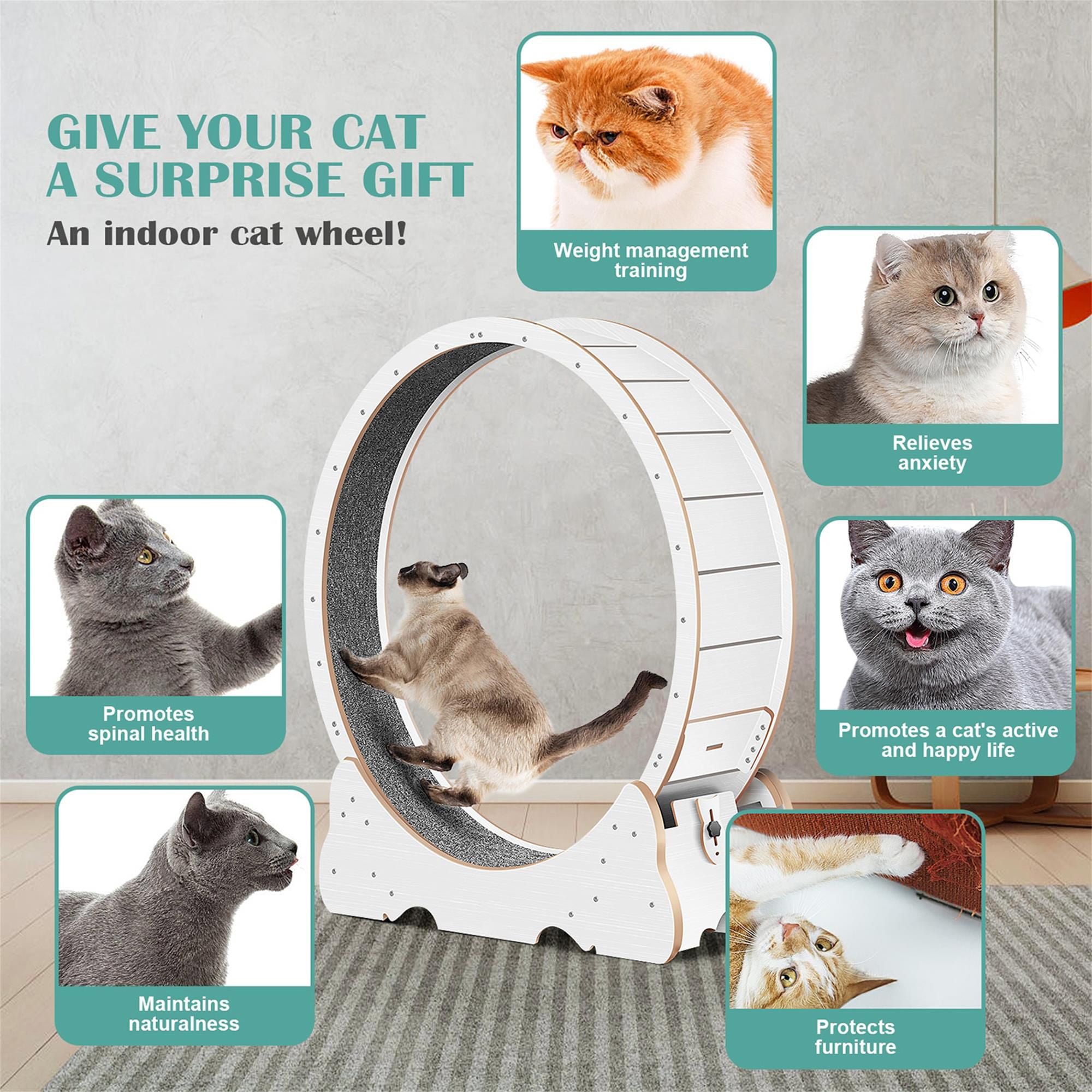 Kadyn 45" Cat Exercise Wheel for Indoor Cats, Large Cat Running Wheels, Cat Treadmill Wheel with Locking Mechanism for Cat's Healthy, White