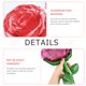thumbnail image 2 of GOOHOCHY 4 unids en forma de rosa Foil Balloon San Valentín Día Globos Bonita fiesta decoraciones, 2 of 7