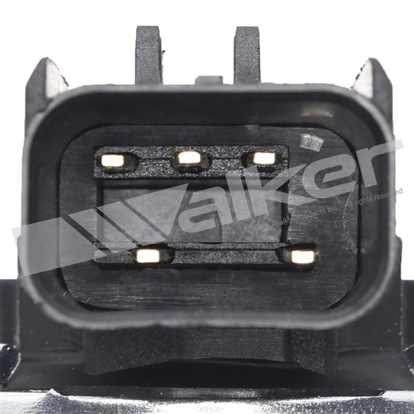 EGR Valve Electronic