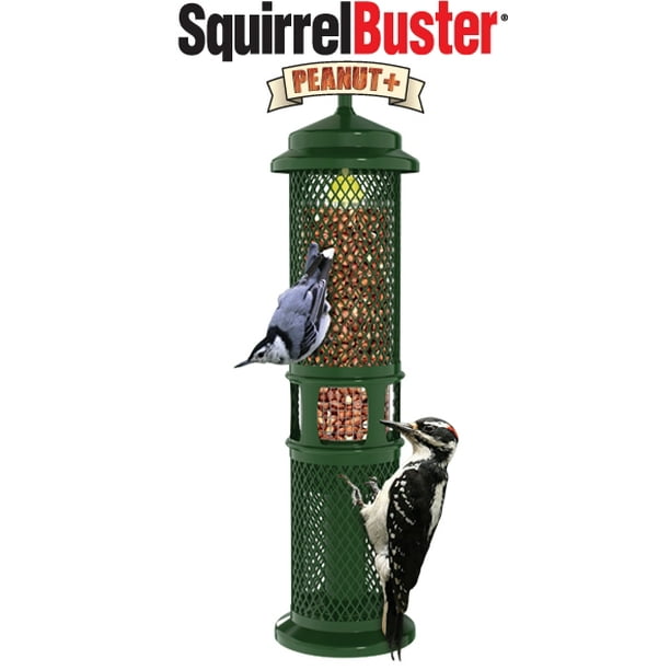GC Brome Bird Care Squirrel Buster Feeder Peanut