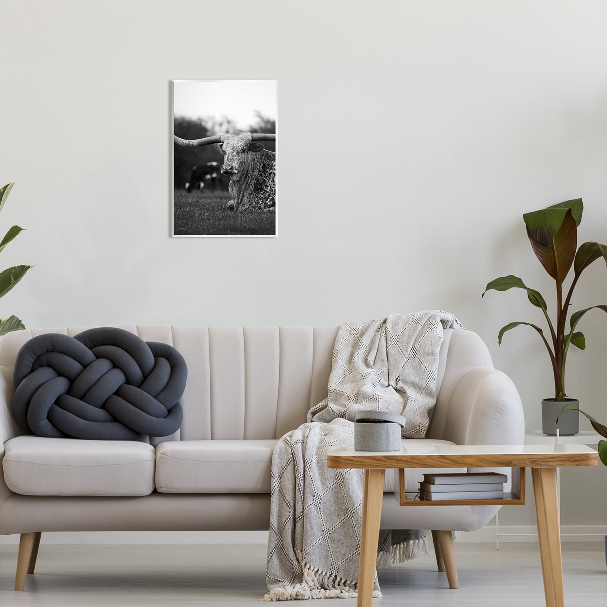 Stupell Industries Resting Longhorn Photography Animals & Insects Photography Unframed Art Print Wall Art, 13 x 19
