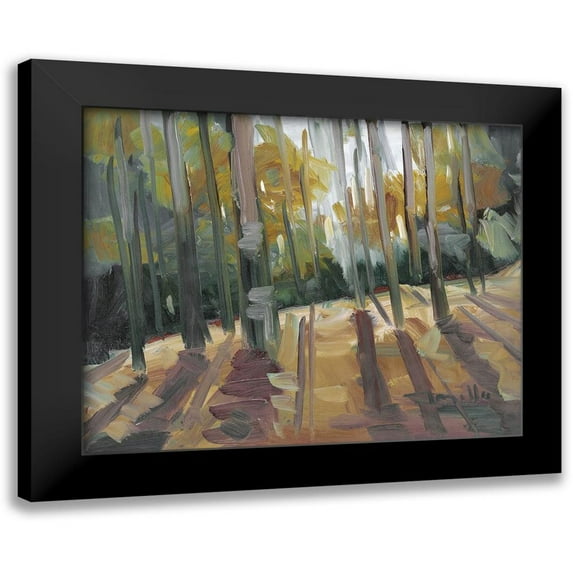 Trujillo, Jose 14x12 Black Modern Framed Museum Art Print Titled - Backlit Woods
