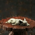 thumbnail image 6 of deevoka Brass Small Welsh Corgi Puppy Statue 8.2x3.1x1.5cm for Side Table Collection, 6 of 9