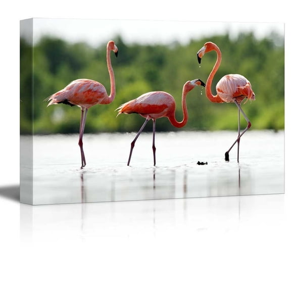 Canvas Prints Wall Art - The Pink Caribbean Flamingo on Water | Modern Home Deoration/Wall Decor Giclee Printing Wrapped Canvas Art Ready to Hang - 24" x 36"