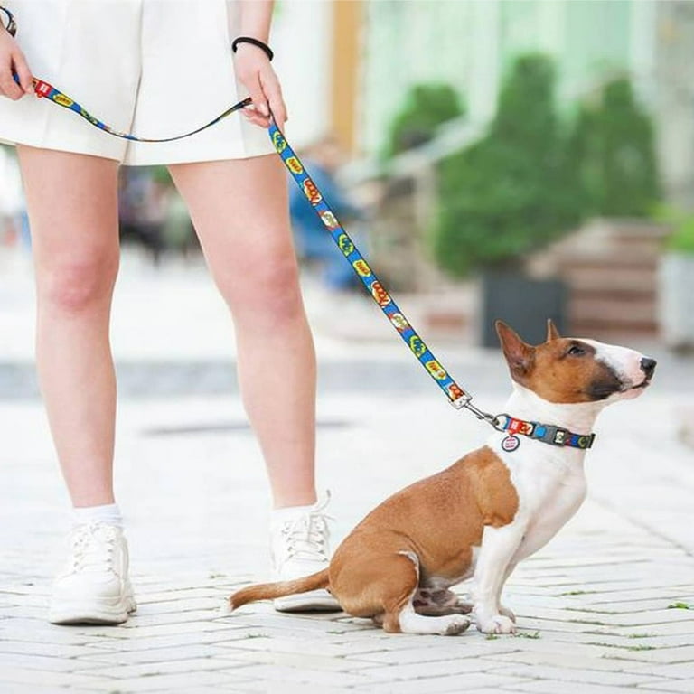Leashes by clearance design