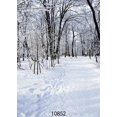 thumbnail image 2 of XDDJA Polyester Fabric 5x7ft White Snow Covered White Birch Photography Backdrop Winter Christmas Photo Background Studio Props, 2 of 2
