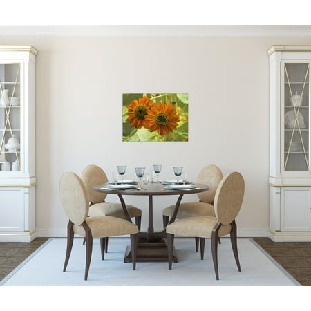 Gango Home Decor Orange Sunflower Photographic Wall Art; One Orange 24x18in Fine Art Paper Giclee