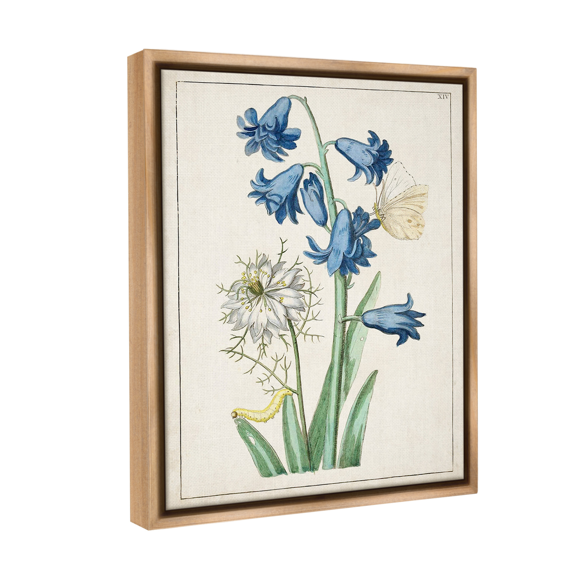 Stupell Industries Nature Bulbs with Moth Botanical & Floral Painting Brown Floater Framed Canvas Art Print Wall Art, 17 x 21