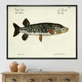 thumbnail image 2 of Designart 'Portrait Of A Green Fish On Beige' Nautical & Coastal Framed Canvas Wall Art Print, 2 of 5