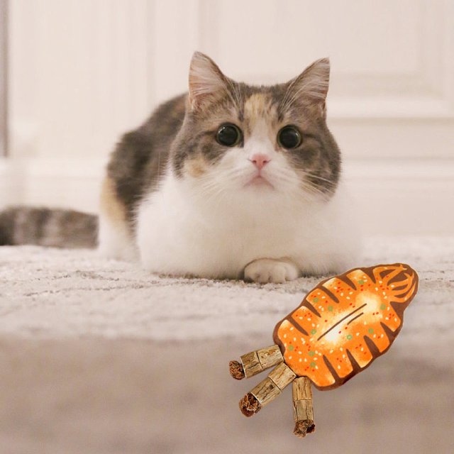 WIZUTIZ Medias de peluche para niños pequeños Juguetes para gatos Juguetes de seguridad duraderos de zanahoria Juguete de peluche suave para masticar con forma de personaje adorable y fuerte Hecho