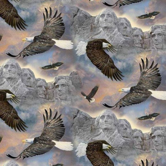 Handmade Valance, Curtain Panel, or Pillow Cover Eagles Soaring
