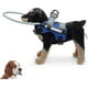 thumbnail image 1 of Blind Dog Harness Guiding Device,blind Dog Halo,pet Anti-collision Ring To Protect Cats And Dogs With Blindness, Blurred Vision, 1 of 5