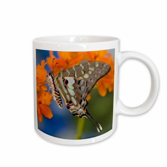 3drose, Large Striped Swordtail Butterfly on Orange Orchid - Us48 Dgu0366 - Darrell Gulin, 15oz Mug