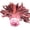 Pink, variant on Craft Feather, 100-Piece Natural Pack for Trimming, Gluing, Sewing, and Layering Apparel, Accessories, and DIY Projects