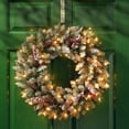 thumbnail image 2 of National Tree Company Pre-Lit Artificial Christmas Wreath, Green, Dunhill Fir, White Lights, Decorated with Pine Cones, Frosted Branches, Berry Clusters, Christmas Collection, 24 Inches, 2 of 5