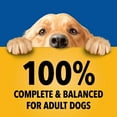 thumbnail image 6 of (12 pack) Pedigree Choice Cuts In Gravy Filet Mignon Wet Dog Food, 3.5 Oz Pouches, 6 of 11