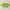 Apple Green, variant on Sport Yoga Headbands,14pcs,Fashion Soft Elastic Stretchy Sweatband Headband for Women Man Girl(Red)