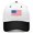Black, variant on 250th Anniversary USA 1776-2026 250th Anniversary USA 1776-2026 250th Anniversary Patriotic Retro USA Eagle Snapback Cap