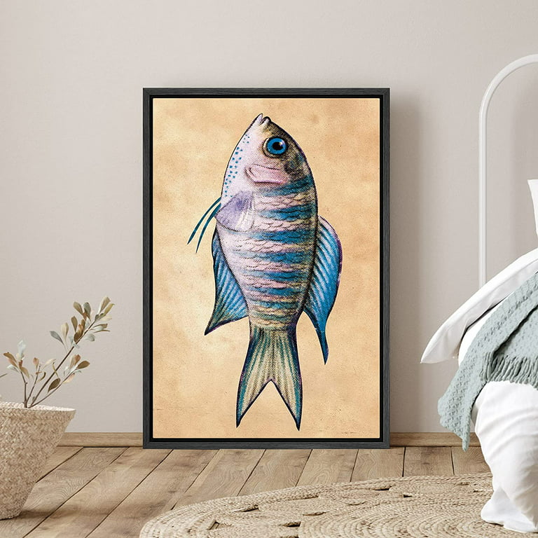 PixonSign Framed Canvas Print Wall Art Blue and Gray Striped Bass Animals  Fish Illustrations Realism Nautical Portrait Colorful Multicolor Ultra for  Living Room, Bedroom, Office - 16x24 Black 