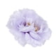 thumbnail image 5 of 6 piezas falsas cabezas de peonía para broche de horquilla decoración de bricolaje boda Gloria Flor artificial, 5 of 9