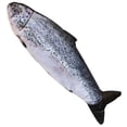 thumbnail image 4 of LOLIPPYY Plush Fish Toy Comfortable and Soft to the Touch Great for Home Fun and 1pc, 4 of 7