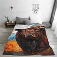 thumbnail image 5 of Zufioo Oil Painting Style Iceberg Yak Fleece Blanket Queen Size,Plush Bed Blanket,Ultra Soft Throw Blanket,Plush Fuzzy Cozy Blanket Perfect for Bed,Couch-60"x50", 5 of 7