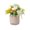 B, variant on Smart Flower Pot with Bluetooth Speaker 4 Inch Indoor Planter