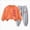D2-M, variant on 5-6 Years Child Baby Girl Fall Clothes Sweatshirt Tops and Pants Fall Winter School Outfits 6-12 Months 12-24 Months 2T 3T 4T 5T 6T 7T Girl, Outfit