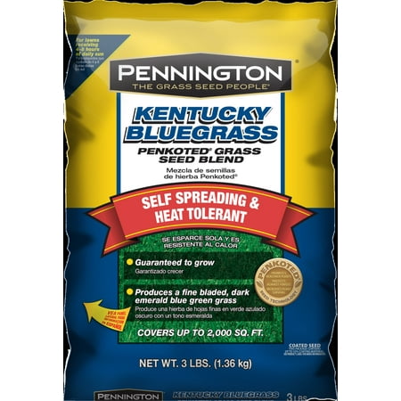 Pennington Kentucky Bluegrass Grass Seed, 3 lbs - Walmart.com