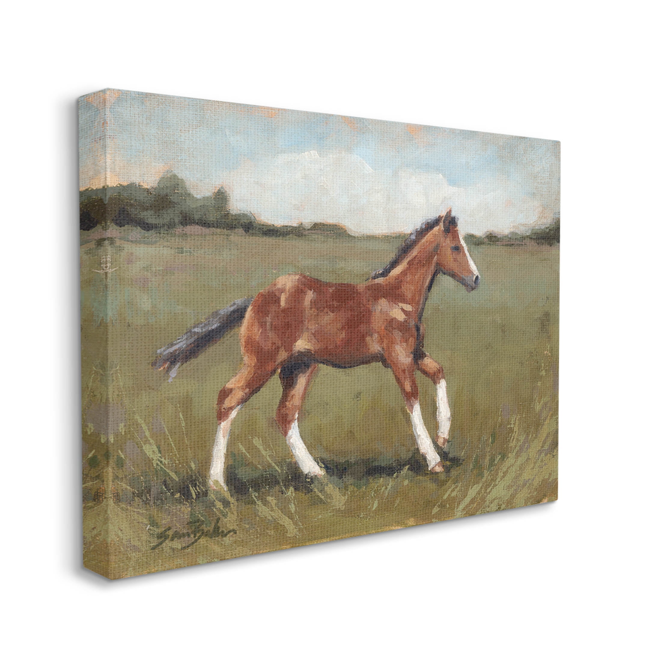 Horse Foal Galloping Countryside Animals & Insects Painting Gallery Wrapped Canvas Print Wall Art