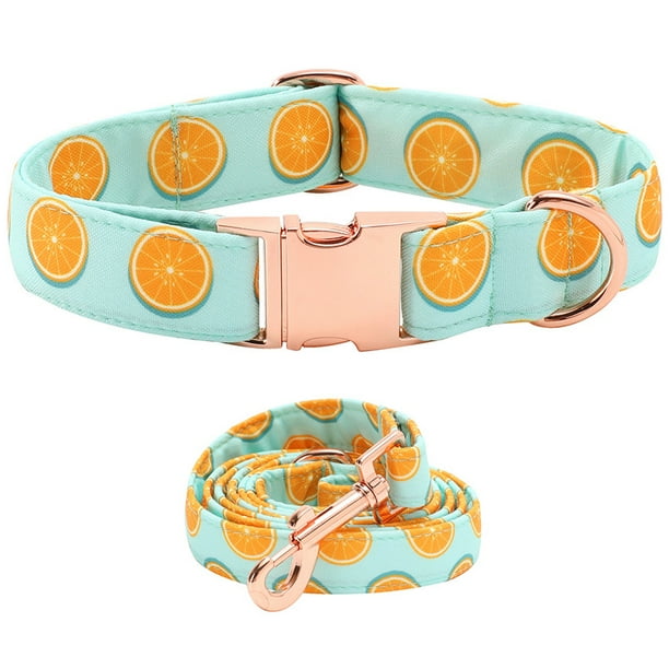 Dog bow clearance collar for girl