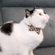 thumbnail image 3 of Collar de separación de mascotas para gatos con campana, pajarita, lazo Floral, cachorro de seguridad ajustable extraíble Adepaton Accesorios para entrenamiento y limpieza, 3 of 5