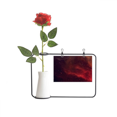 thumbnail image 1 of Elegante luz nebulosa universo oscuro Botella de decoración de jarrones colgantes de flores rosas artificiales, 1 of 3