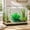 Green-Free Size/GN, variant on Artificial Aquarium Ornament Realistic Sea Inspired Fish Tank Decor Aquascaping Decoration For Tropical Saltwater Freshwater Aquarium Habitat