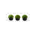 thumbnail image 3 of Artificial Plant - 5" Tall - Grass - Indoor - Set Of 3 - Green Plant - Black Pot, 3 of 3