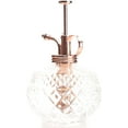 thumbnail image 6 of Plant Mister- Clear Color Glass Bottle & Brass Sprayer (Rose Gold), 6 of 19