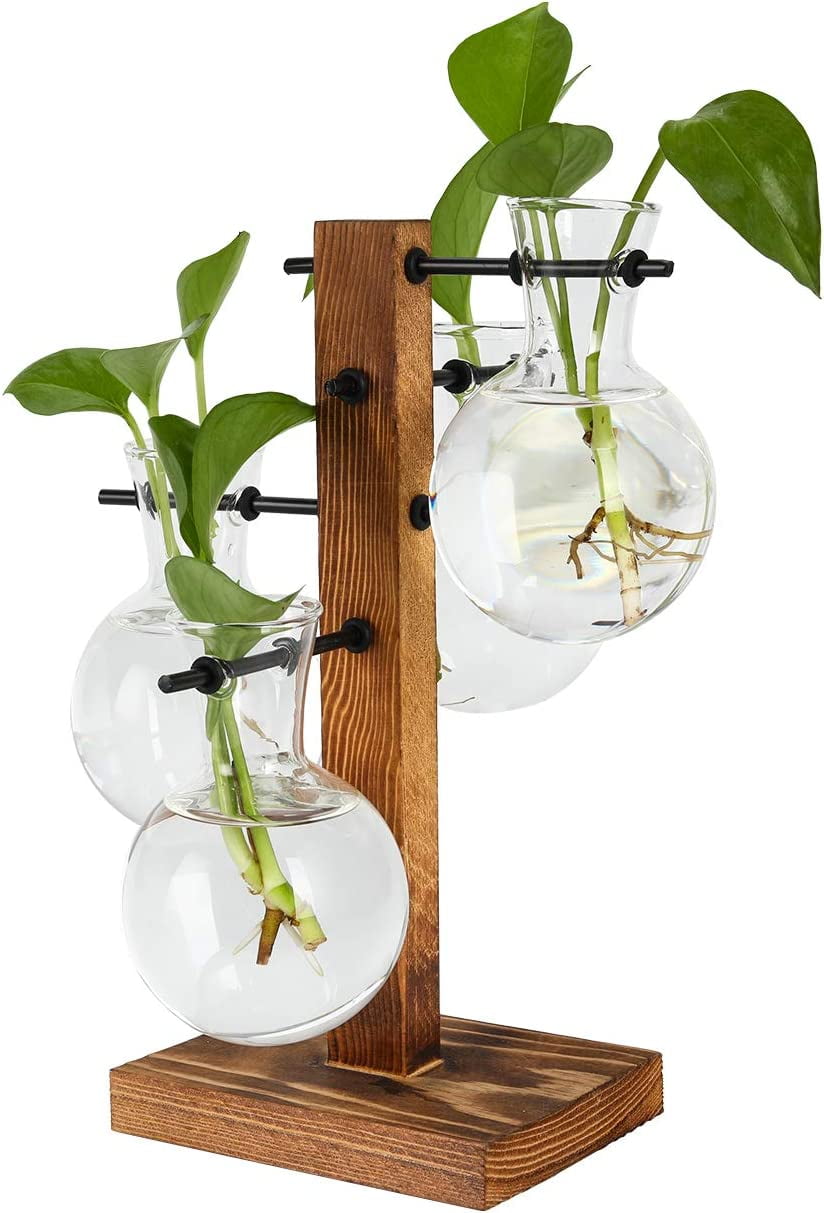 Plant Terrariums, Moyeeka Plant Terrariums Kit Desktop Hydroponics Air