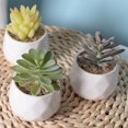 thumbnail image 2 of Kearding Simulación suculenta artificial Bonsai Flower Living Room Party Decoración tipo5, 2 of 6
