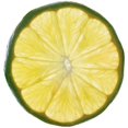 thumbnail image 5 of 1 contenedor de almacenamiento de limón para mantener las frutas y cítricos frescos, 5 of 5