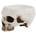 thumbnail image 1 of LAFGUR Resin Skull-Shaped Flower Pot Succulent Planter Container Ornament ND, 1 of 8