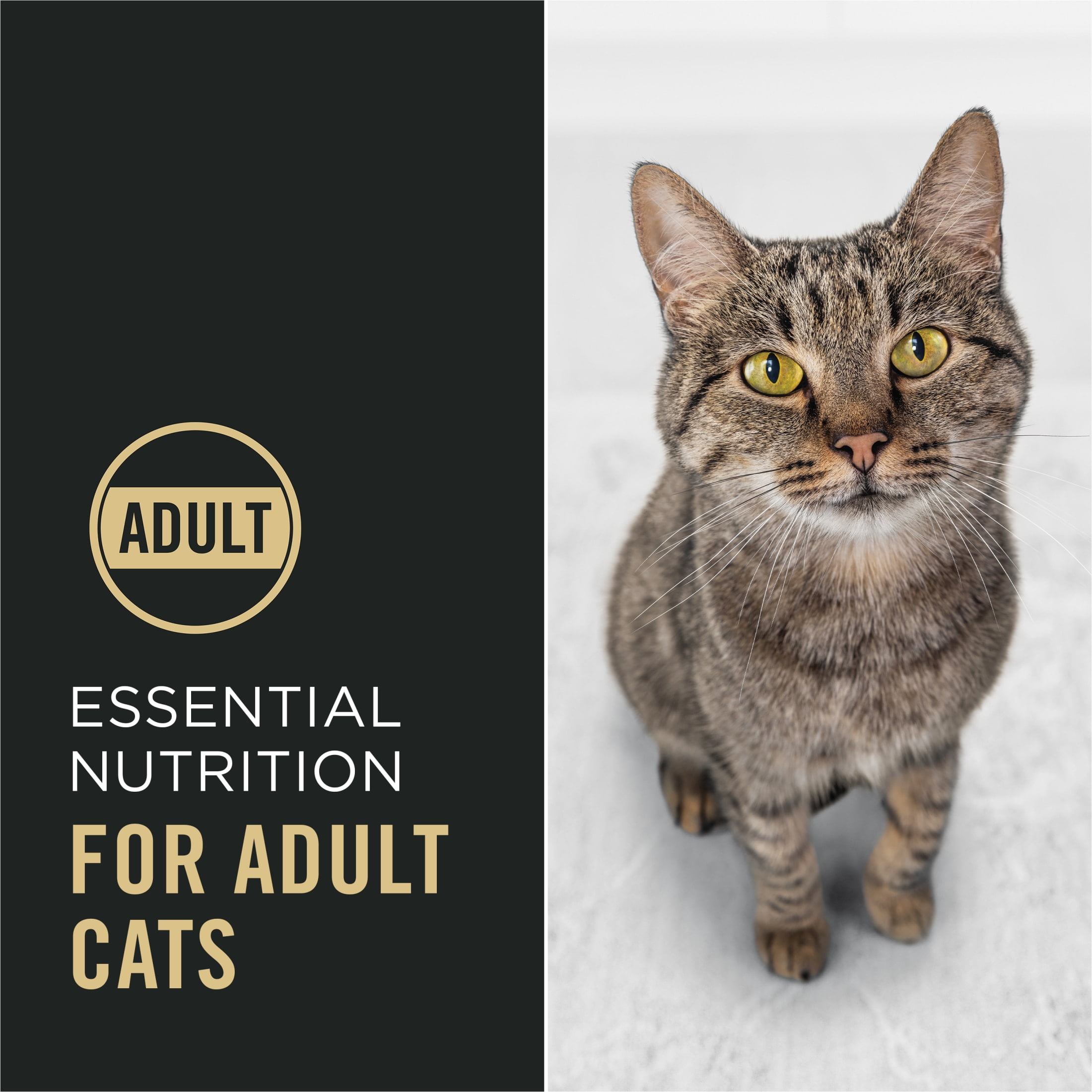 Purina Pro Plan Complete Essentials Shredded Blend Salmon and Rice Formula Adult High-Protein Dry Cat Food, 14 lb.