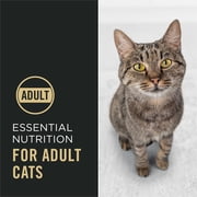 Purina Pro Plan Complete Essentials Shredded Blend Salmon and Rice Formula Adult High Protein Cat Food, 6 lb.