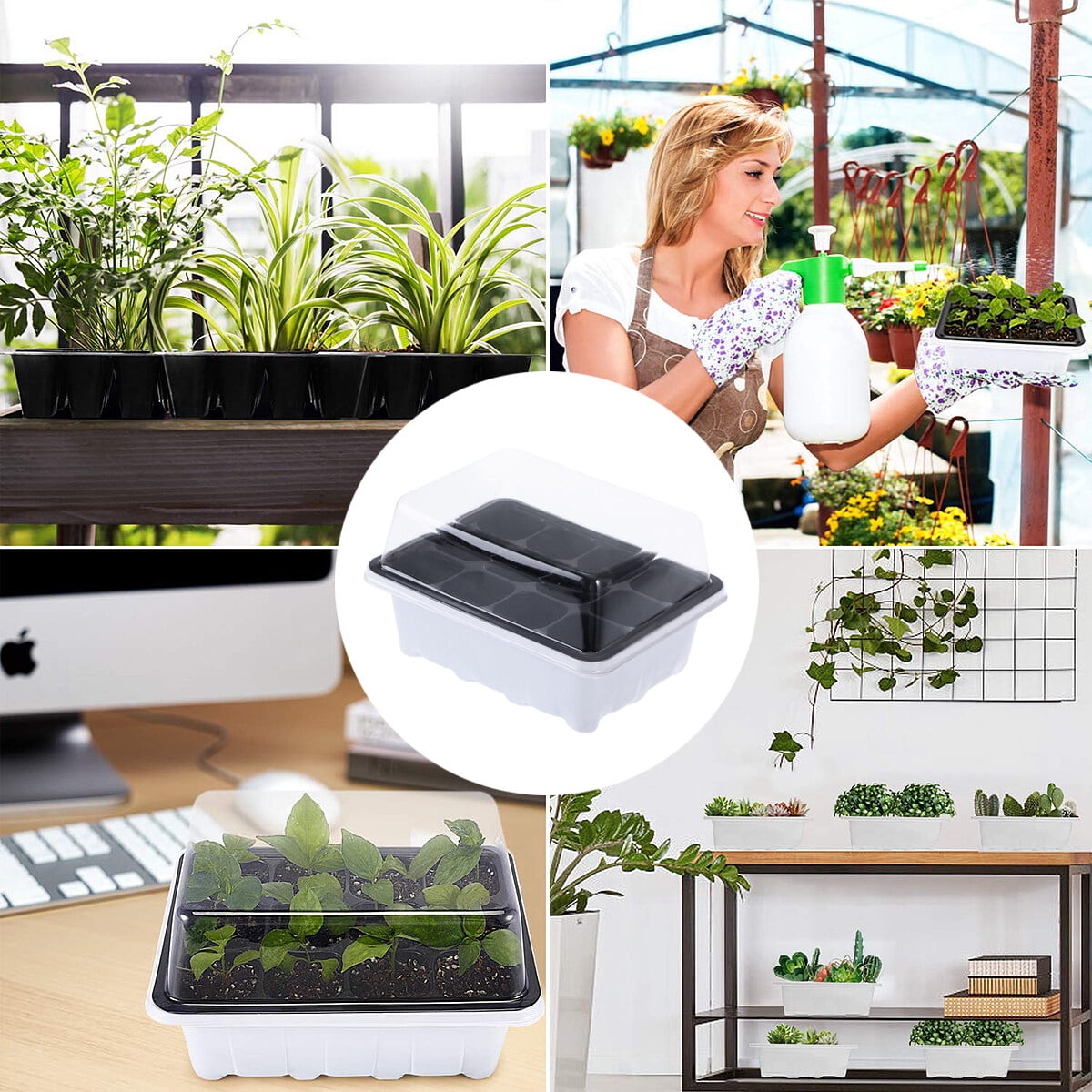 Clispeed  White Sprouter Trays 10Pack for Planting with Heat Preservation and Transparent Lid