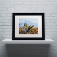 thumbnail image 3 of Trademark Fine Art "Snowy Owl" Canvas Art by Pierre Leclerc, White Matte/Black Frame, 3 of 3