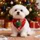 thumbnail image 4 of Adornos navideños, regalos navideños, bufanda navideña para mascotas, collar, lindos accesorios navideños para perros y gatos, collar de tela para mascotas, 4 of 6